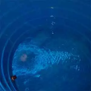 Aparência da Limpeza de tapete em Limeira