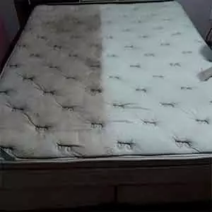 Seu Limpeza de tapete em Limeira Limpo