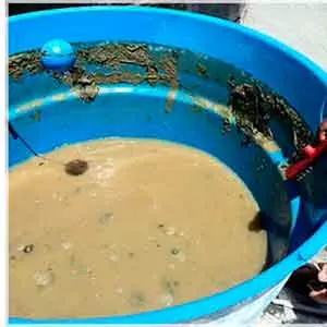 Oferecemos Limpeza de tapete em Limeira