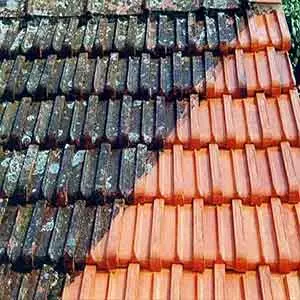 Áreas De Atuação da Limpeza de tapete em Limeira